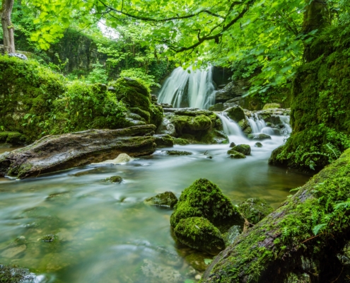 Wassermädchen